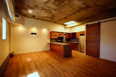 Luxurious Loft Apartment