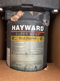 Hayward super pump 