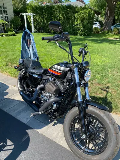 Beautiful Forty Eight Special with AMF retro tank. Barely ridden, stored indoors. Serviced at author...