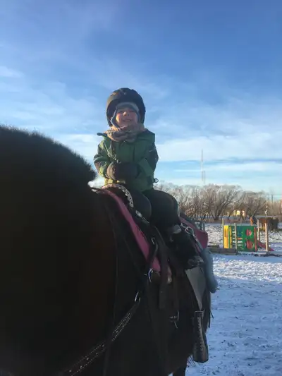 Horse training, View more