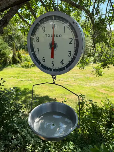 Vintage Toledo Model 2110 Commercial Hanging Scale w Basket 30lb, View more