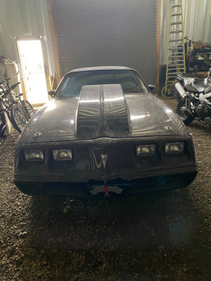 1980 Pontiac Trans Am Turbo