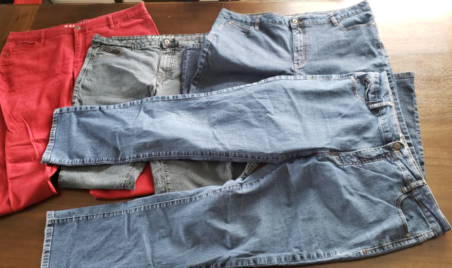 Set of 4 Santana Jeans and 4 Denver Hayes shorts Size 18 in Women's - Bottoms in Brantford - Image 2