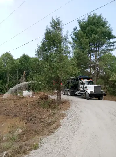 Excavating company with multiple excavators bulldozer skid steers trucks, pony trailers and float pl...