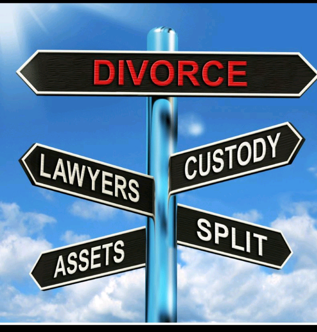 Private Investigators in Financial & Legal in Mississauga / Peel Region - Image 5