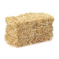 Wanted Square Bales of Straw to Purchase 