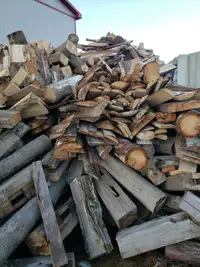 Outdoor stove firewood 3-4 ft pieces