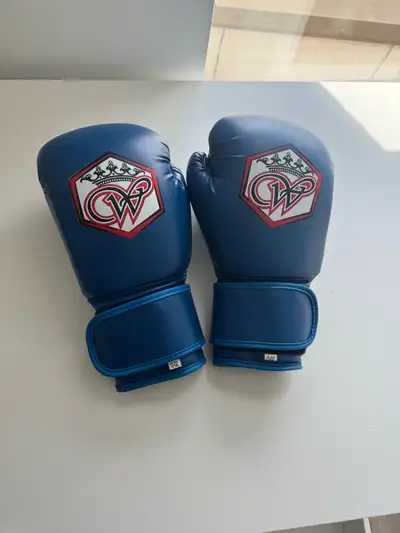 Muay Thai Boxing Gloves, View more
