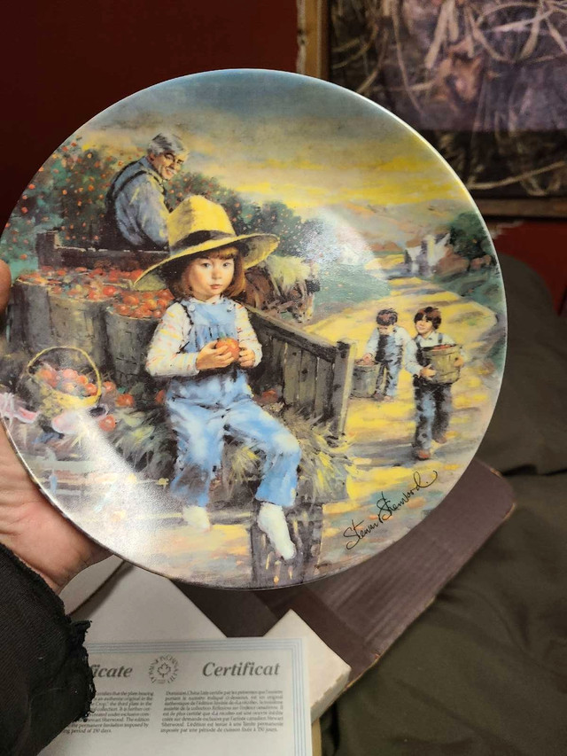 Collection of different vintage decorative plates in Arts & Collectibles in Kingston