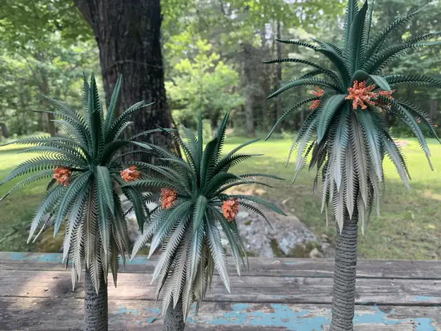 Palmiers artisanales  pour décoration crèche in Arts & Collectibles in Laurentides - Image 4