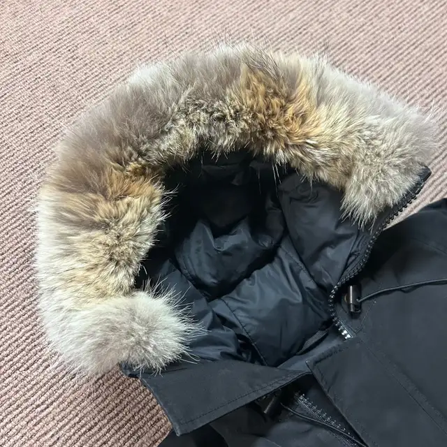 Canada Goose Chilliwack Bomber in Men's in Chatham-Kent - Image 5