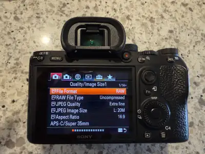Sony a7iii + Battery Grip, View more