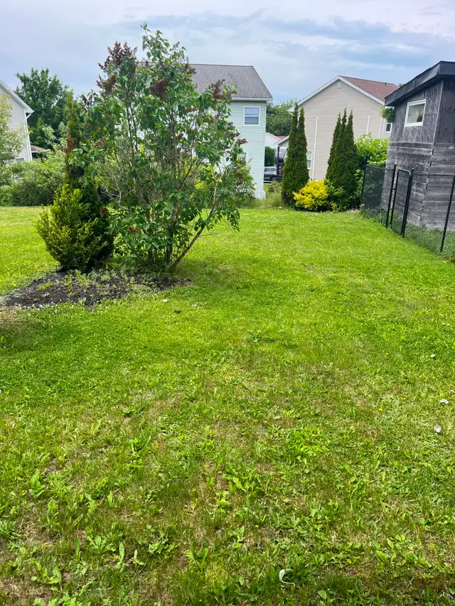 rent house in Long Term Rentals in City of Halifax - Image 6