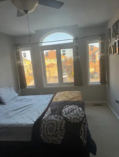 one bedroom available from 1 st june