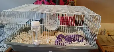 Grande cage pour souris avec roue, mangeoire et buvette. Vient avec ripe et nourriture versele-laga....