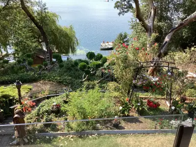 Langford Lake house 6 month rental, View more
