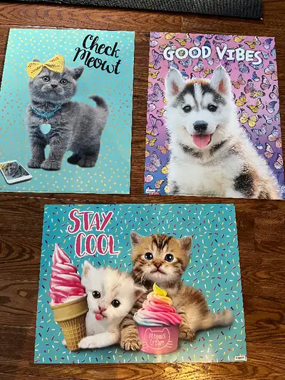 ADORABLE POSTERS: PUPPIES AND KITTENS. The size is 18 x 24 in, View more