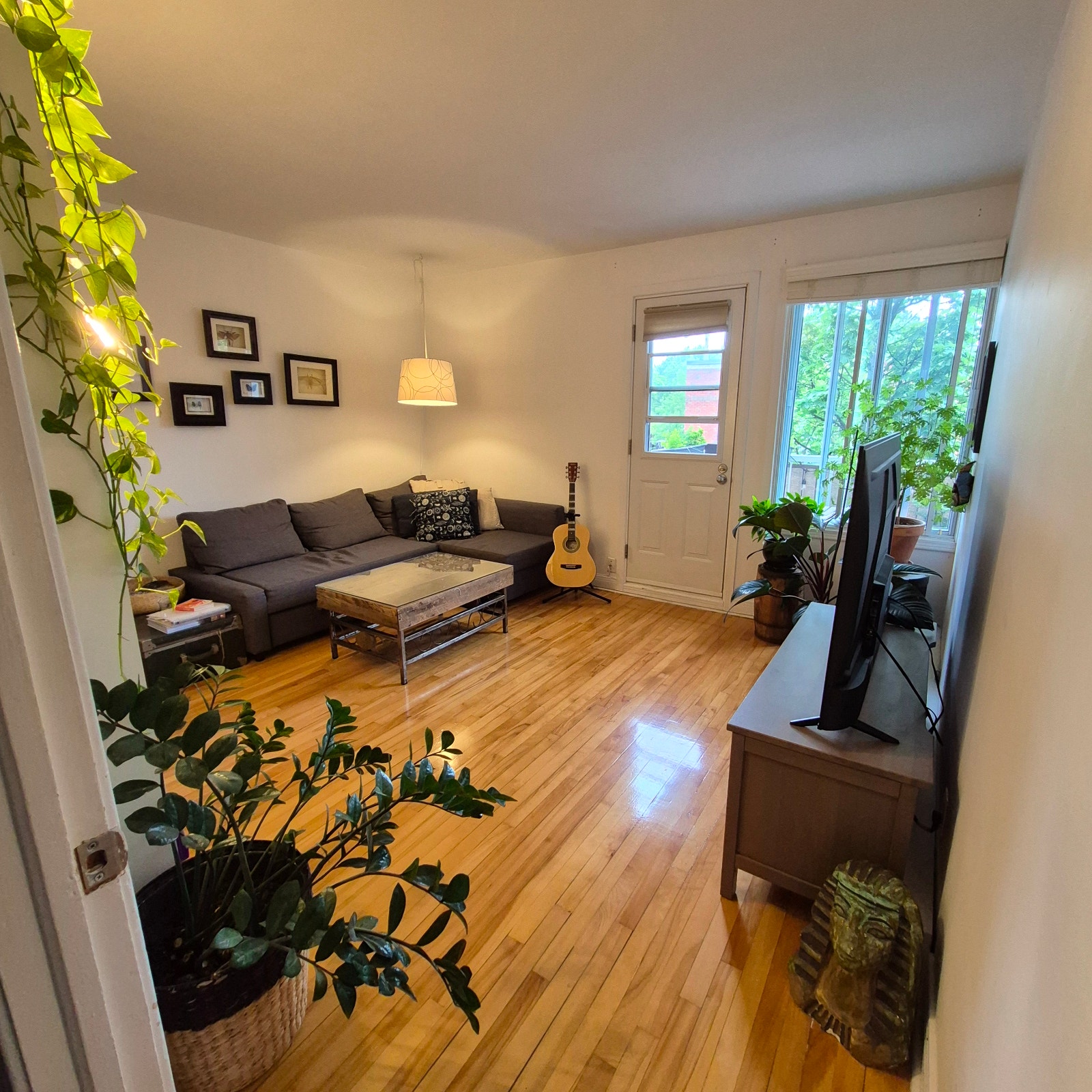 Grand 4 1/2   rue Villeray beau locataires de choix libre Nov 26 — photo 2