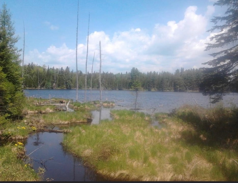 Bancroft lake view, springs and creek Land for Sale Brockville Kijiji