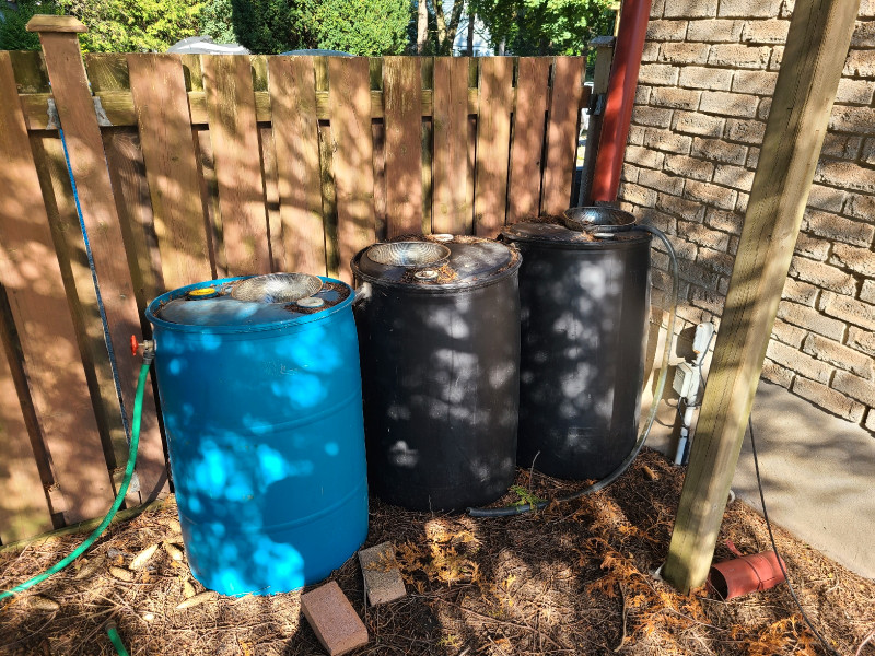Free rain barrels. Free Stuff Kitchener / Waterloo Kijiji
