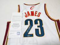 lebron james signed cleveland jersey with upper deck coa
