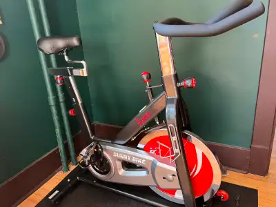SUNNY BIKE as new condition with mat beneath., View more