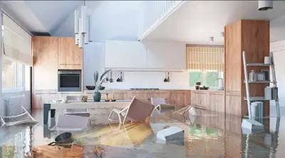 Flood or Fire? Don't Replace Your Cabinets — Restore Them , View more