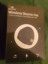 Bluetooth wireless speakers ( winter hat )