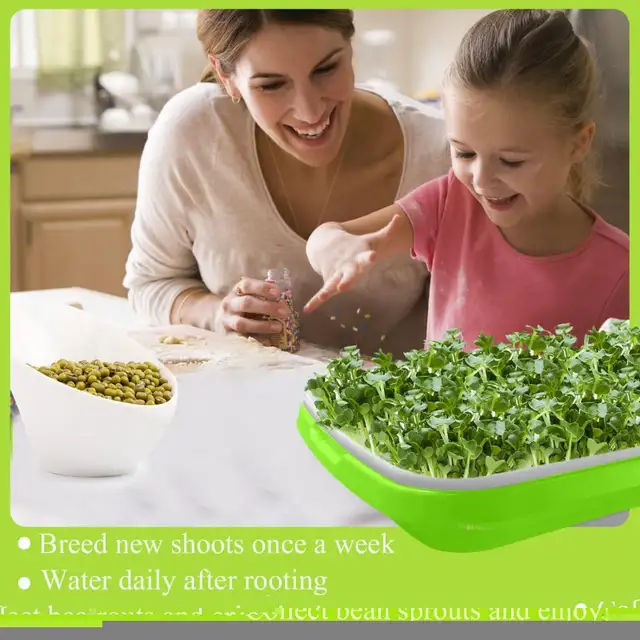Seed Sprouter Tray with Cover Double Layer Growing kit | Plants ...