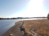 LAND FOR SALES ON THE BIG TRACADIE RIVER IN N-B