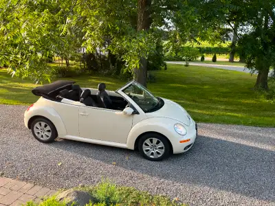 VW Beetle Convertible