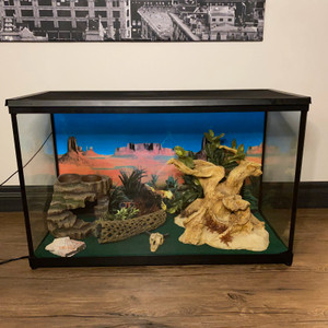 30 Gallon Reptile Tank in Alberta - Kijiji Canada