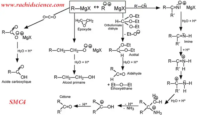 Math Tutoring - Physics/Chemistry Tutoring: CEGEP64037126131202120