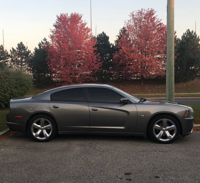 2012 Dodge Charger SXT Rally Bee V6 in Cars & Trucks in Mississauga / Peel Region - Image 2