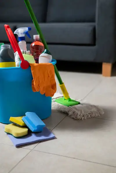 House cleaner, View more