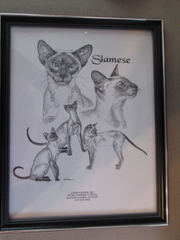 Siamese Cats picture (8 1/2 x 11)