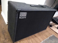 Roland CUBE 60 Amp expanded with 2 12 inch Speakers