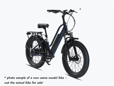 Biktrix Stunner LT eBike End-of-Summer Price Reduction!, View more