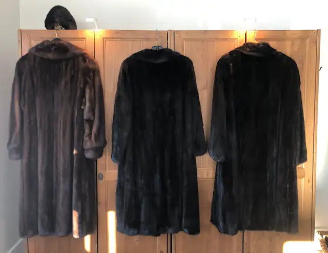 Manteau fourrure véritable en Vison / 2 choix in Women's - Tops & Outerwear in Shawinigan - Image 3