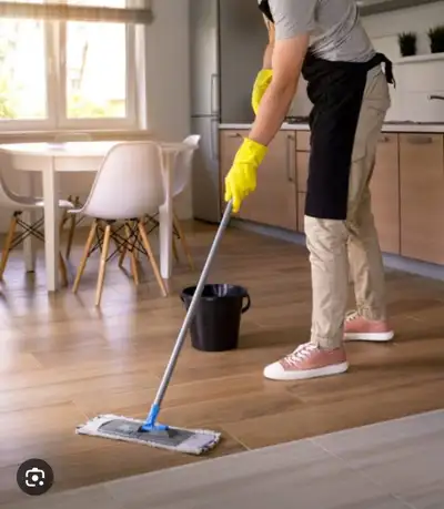 I pay you cash. I need house cleaning done on daily basis Monday to Sunday 9 am -12 pm daily. Job lo...