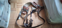 Tree climbing Spurs and belt, good condition make offer.