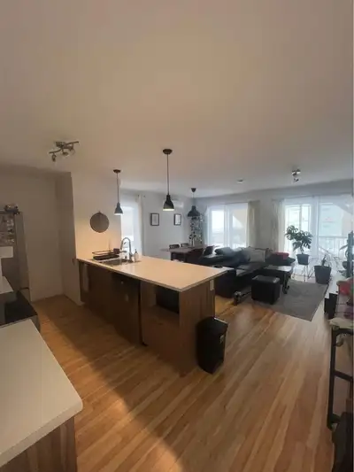 CESSION DE BAIL - Beau grand 4 1/2 à louer à Maizerets, disponible dès le 1er mars 2026 Appartement...