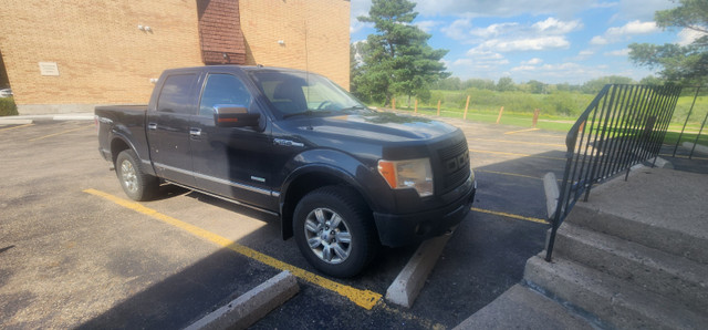 2011 Ford F-150  Platinum in Cars & Trucks in Saskatoon