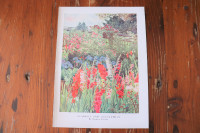 Vintage Botanical Print - Gladioli & Agapanthus