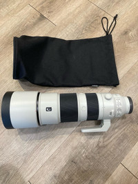 Sony FE 5.6-6.3/200-600 G OSS