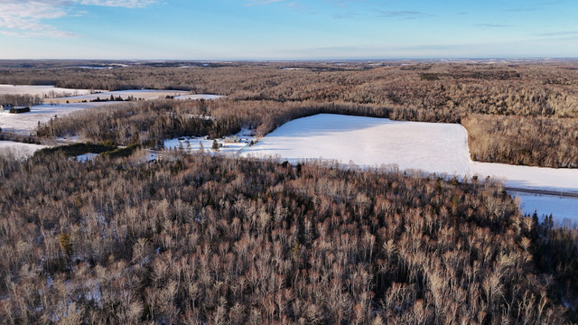 Land For Sale 1.5 Acre Caledonia, PEI in Land for Sale in Charlottetown - Image 3