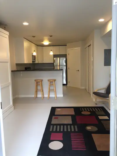 STUDIO SUITE IN CENTRAL NANAIMO ~ AVAIL SEPT 1ST
