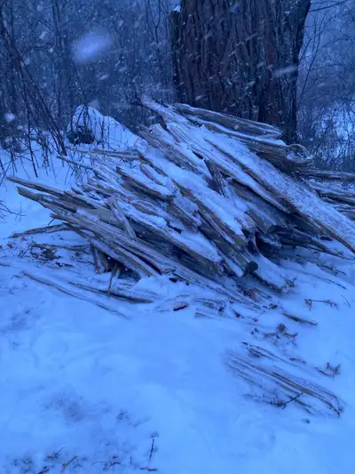 I’ve got a collection of split cedar rails for sale $4; or make me an offer on the entire pile. Come...
