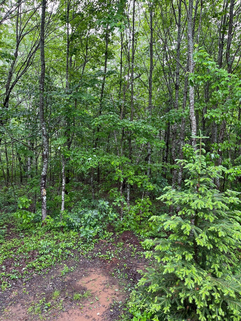 1 acre lot For camp Land for Sale Moncton Kijiji