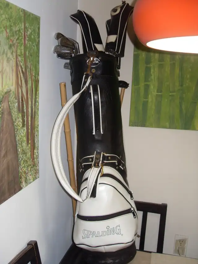 Wison Golf Club Set – Drivers, Irons, Balls, Tees and  Case in Golf in Ottawa - Image 10